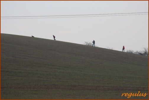 VDH DM IPO FH Oberdorla 2011